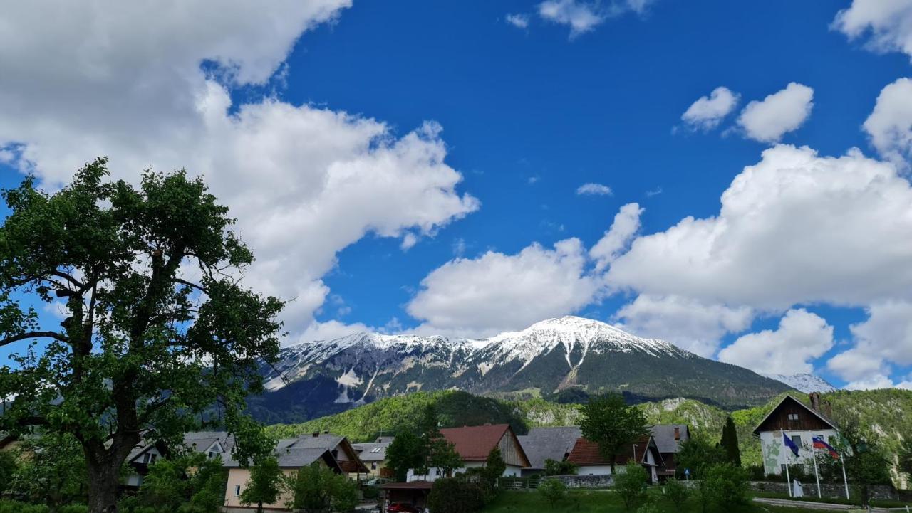Guesthouse Osvald Zirovnica Luaran gambar